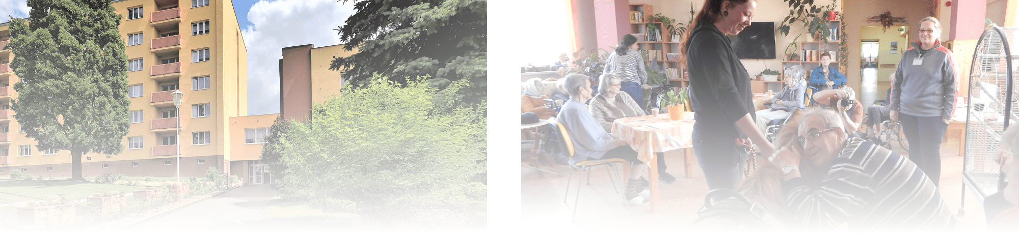 Domov pro seniory v Lázních Kynžvart, příspěvková organizace